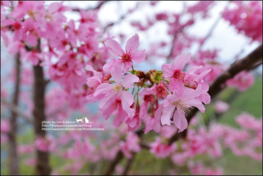 DSC_0464.JPG DSC_0464.JPG