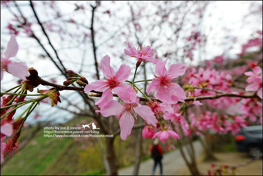 DSC_0455.JPG DSC_0455.JPG