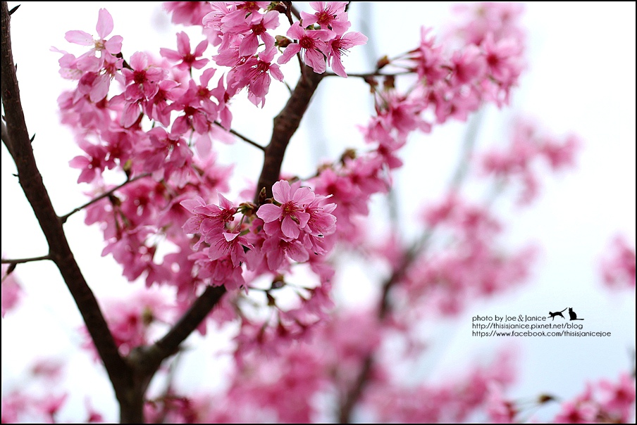 130A0703.JPG 130A0703.JPG