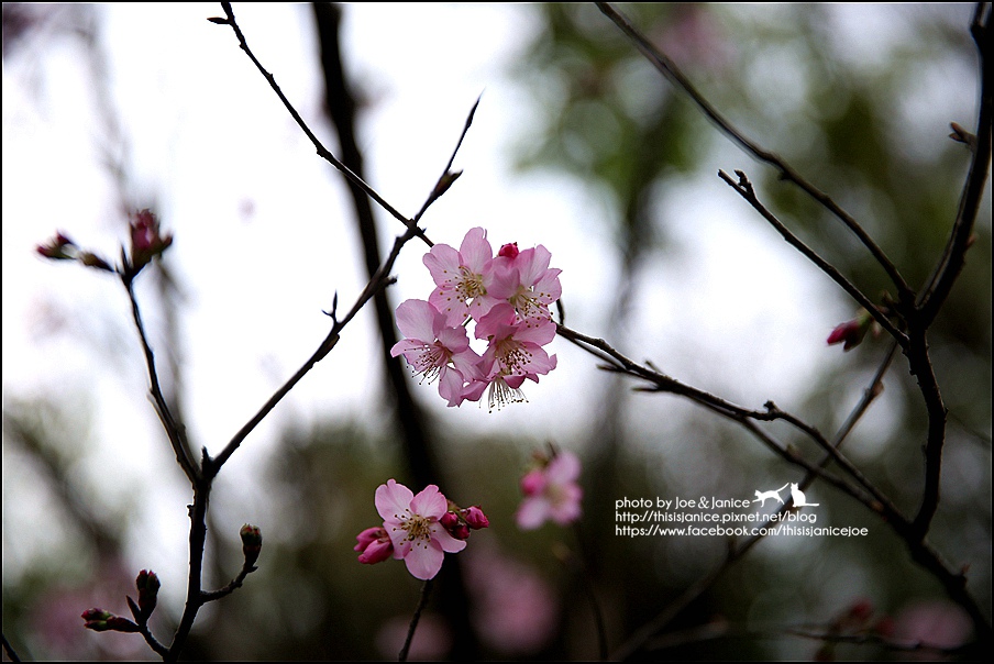 130A0874.JPG 130A0874.JPG