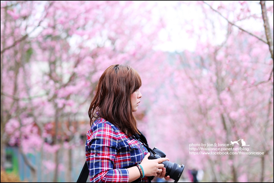 130A0677.JPG 130A0677.JPG