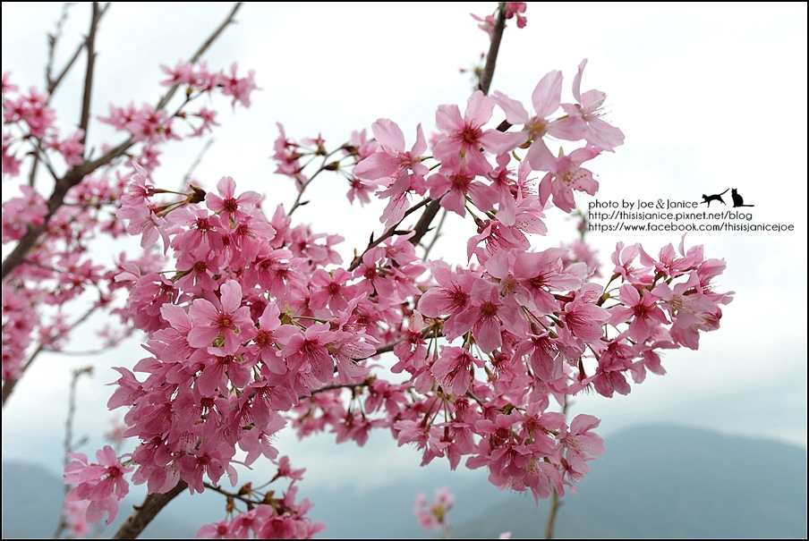 DSC_0457.JPG DSC_0457.JPG