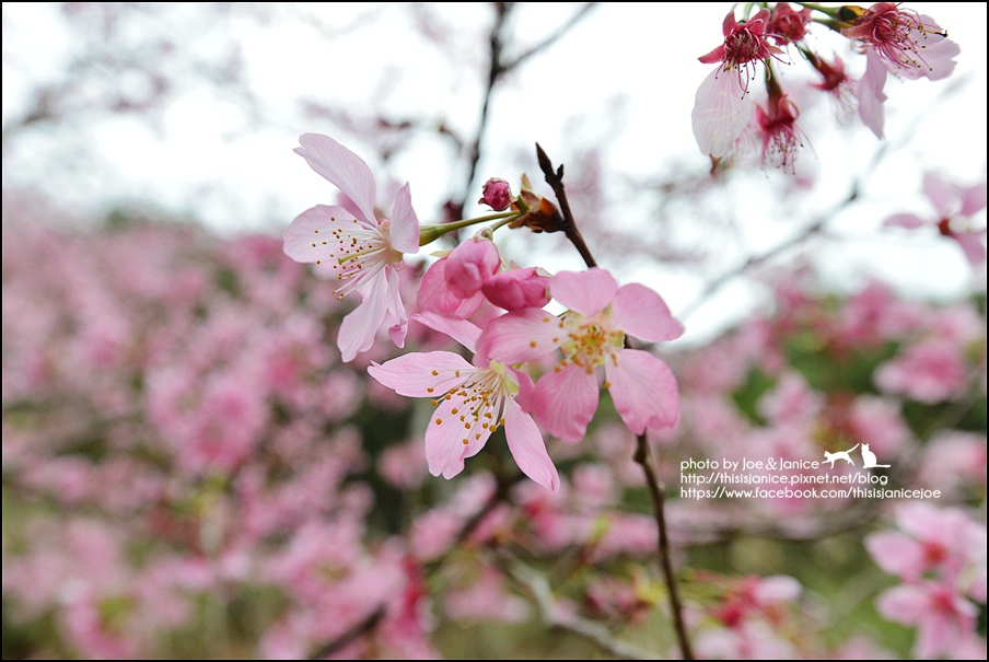 DSC_0488.JPG DSC_0488.JPG