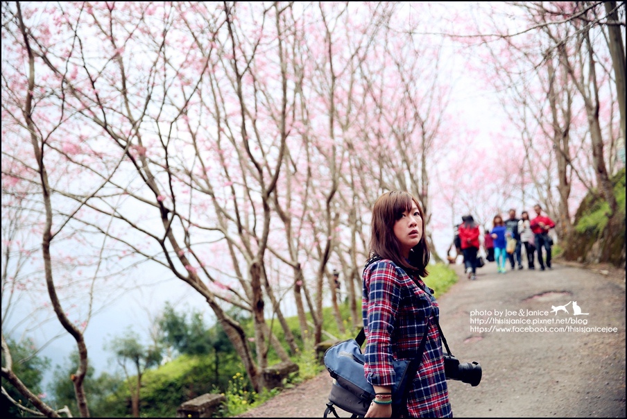 130A0802.JPG 130A0802.JPG