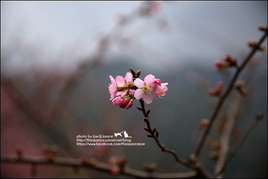 130A0865.JPG 130A0865.JPG