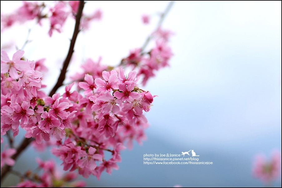 130A0701.JPG 130A0701.JPG