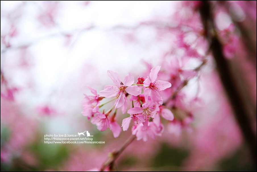 130A0778.JPG 130A0778.JPG