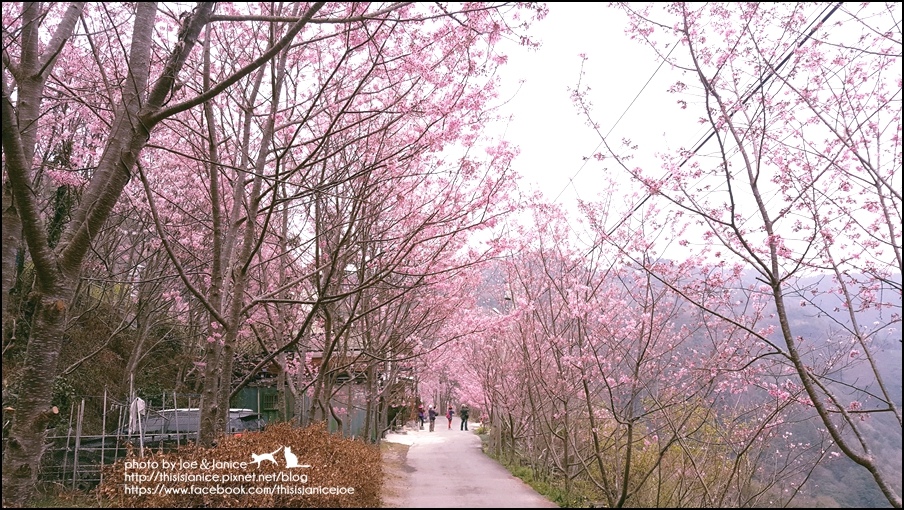 20160307_133020.jpg 20160307_133020.jpg