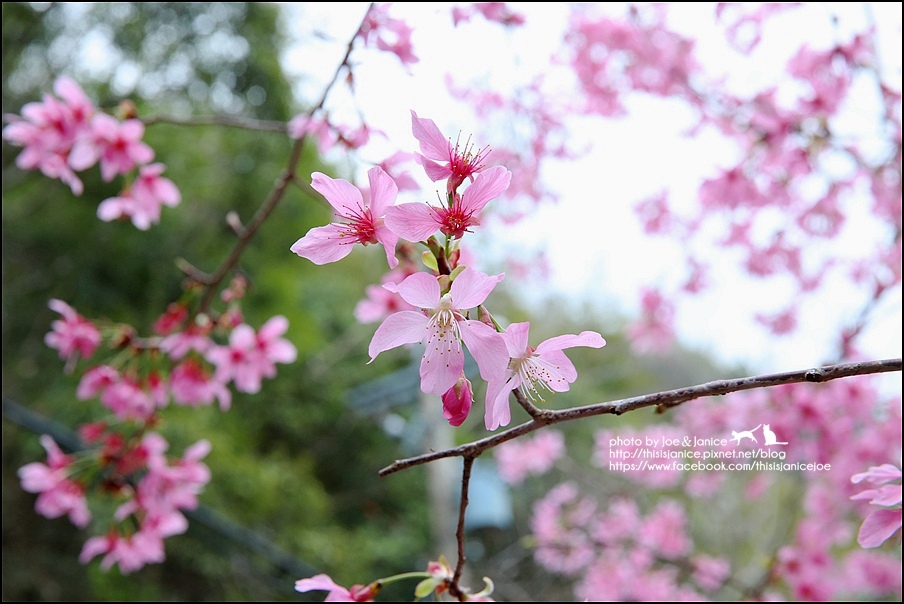 130A0772.JPG 130A0772.JPG