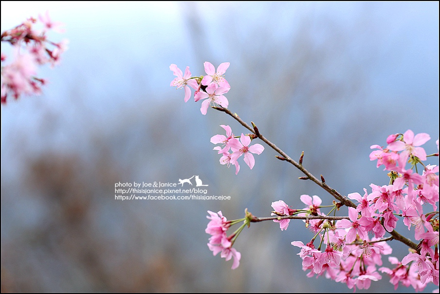 130A0713.JPG 130A0713.JPG