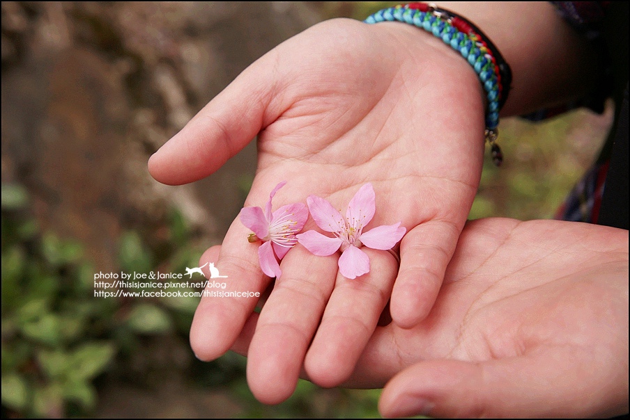 130A0839.JPG 130A0839.JPG