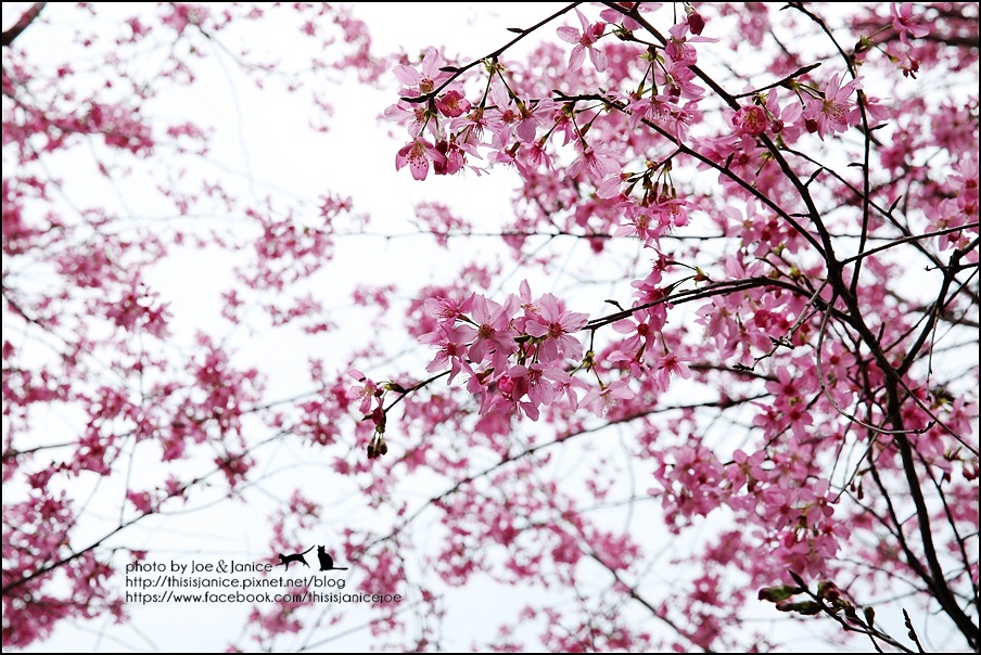 130A0766.JPG 130A0766.JPG