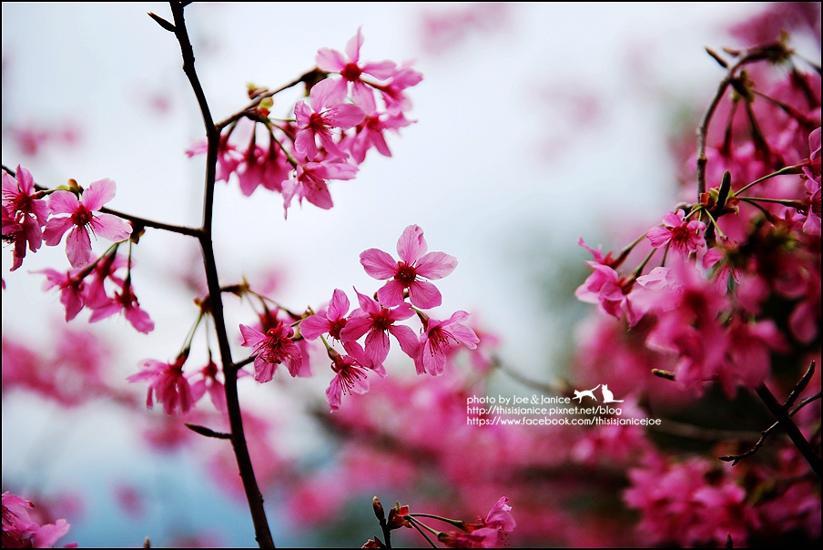 130A0780.JPG 130A0780.JPG