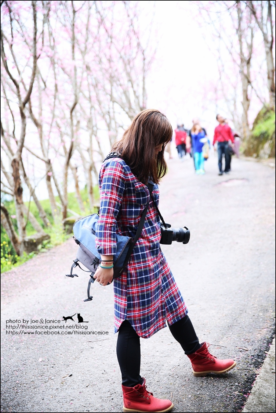 130A0803.JPG 130A0803.JPG