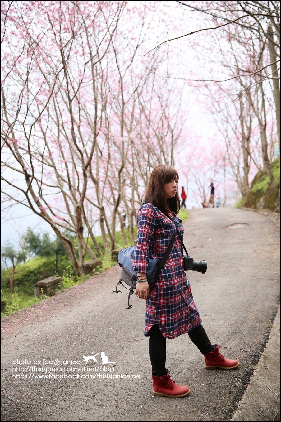 130A0805.JPG 130A0805.JPG