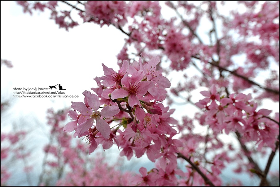 DSC_0470.JPG DSC_0470.JPG