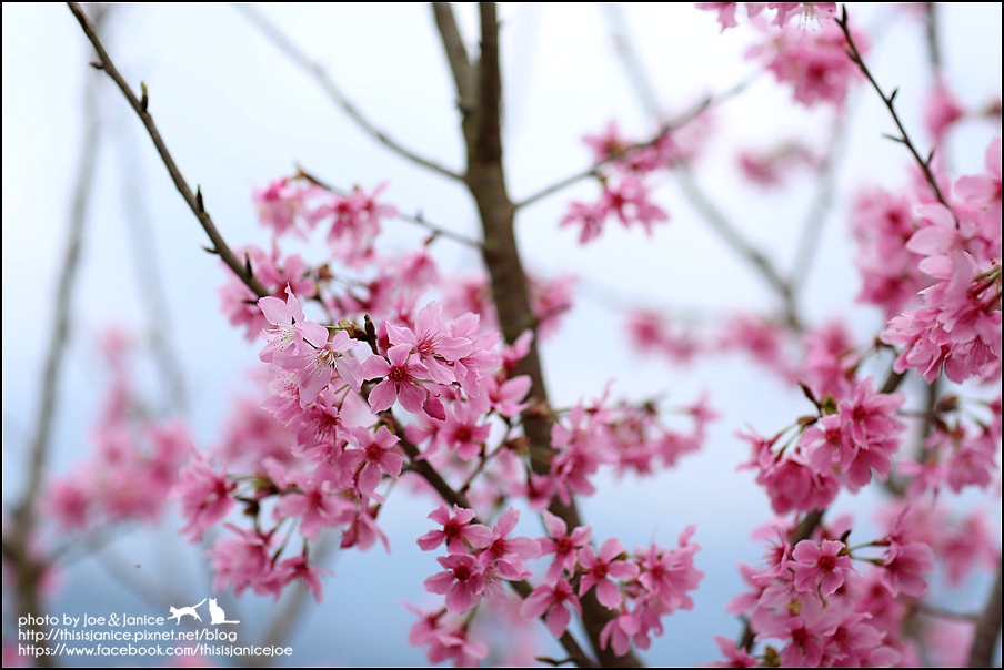 130A0699.JPG 130A0699.JPG