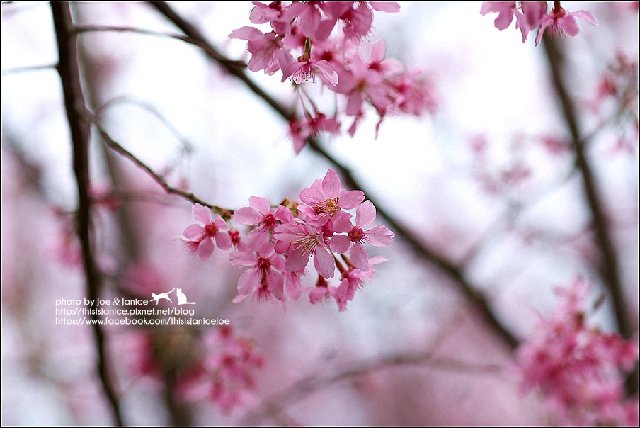 130A0672.JPG 130A0672.JPG