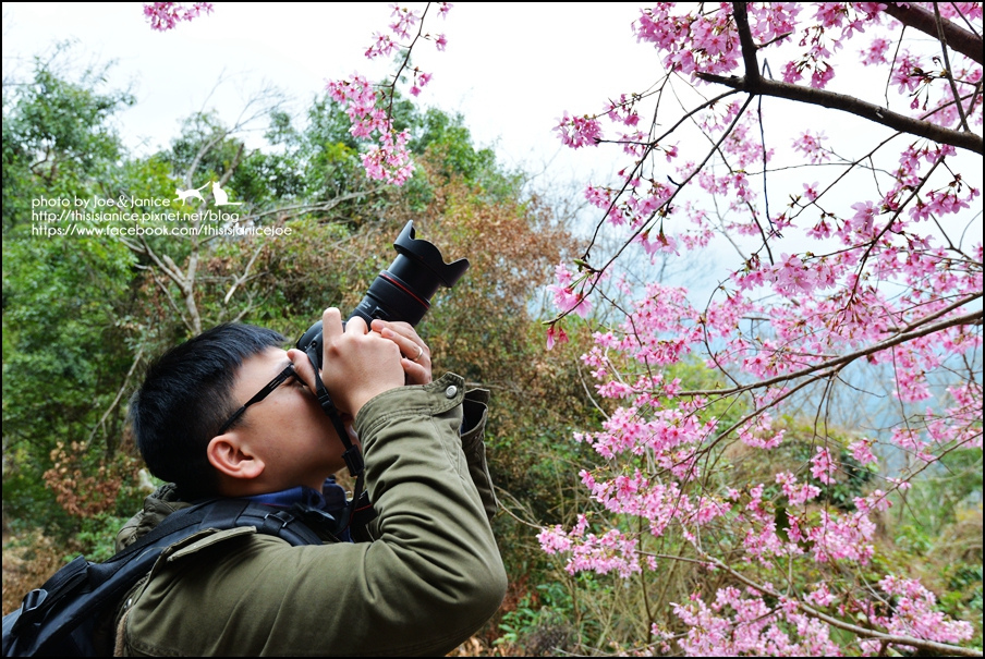 DSC_0490.JPG DSC_0490.JPG