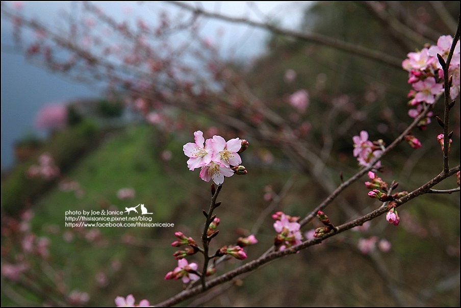 130A0860.JPG 130A0860.JPG