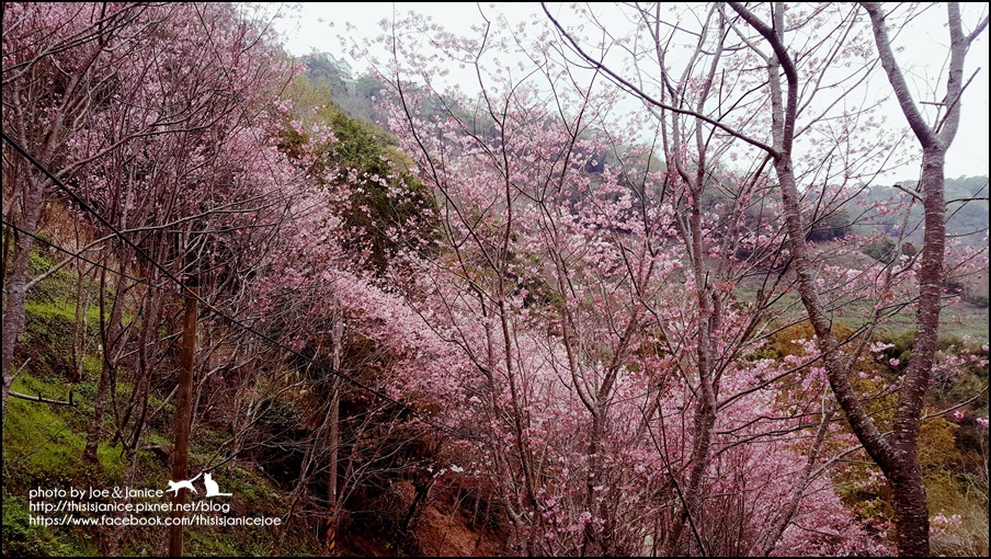 20160307_135701.jpg 20160307_135701.jpg