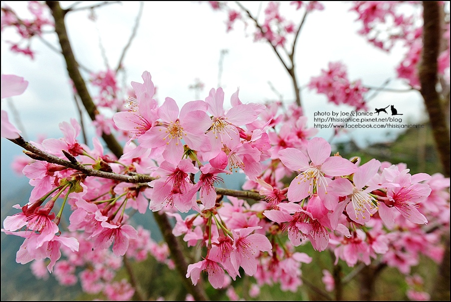 DSC_0458.JPG DSC_0458.JPG