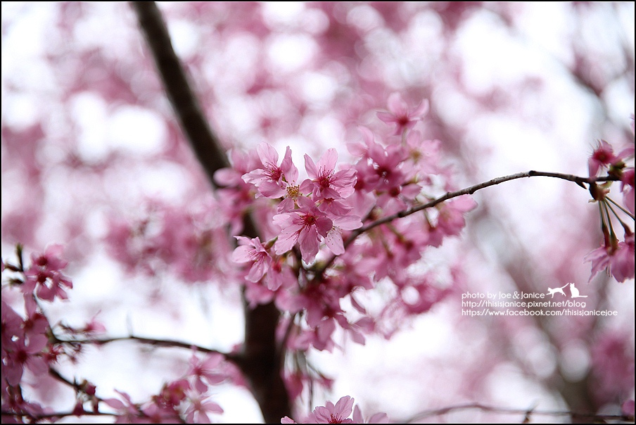 130A0779.JPG 130A0779.JPG