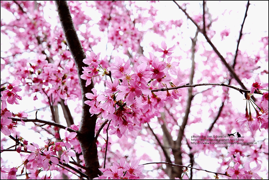 130A0774.JPG 130A0774.JPG