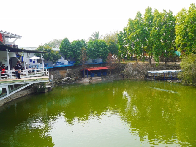 P8600465 (660x495).jpg