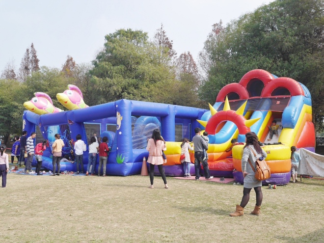 P8600514 (660x495).jpg