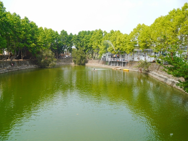 P8600463 (660x495).jpg