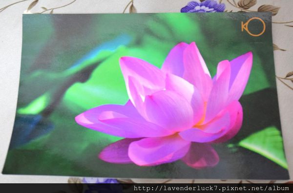 Kafemera：★大安Kafemera-深度咖啡之旅