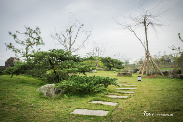 DSC00161.jpg DSC00161.jpg