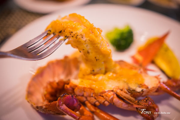 DSC00112.jpg DSC00112.jpg