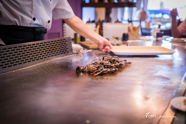 DSC00100.jpg DSC00100.jpg