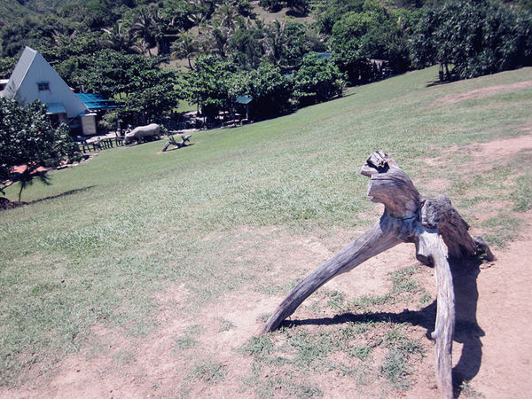 [記。遊]花蓮壽豐。牛山呼庭