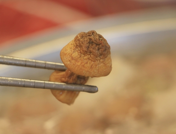 屏東 潮州。牛大福沙茶火鍋城，新鮮現切厚切牛肉