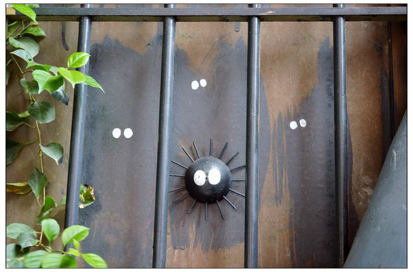 DSC_3479.JPG DSC_3479.JPG