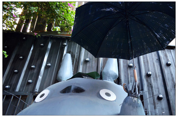 DSC_3482.JPG DSC_3482.JPG