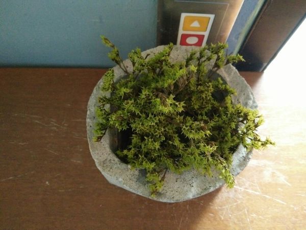 板橋仁化街的wifi充電餐飲小店 Percent Cafe%