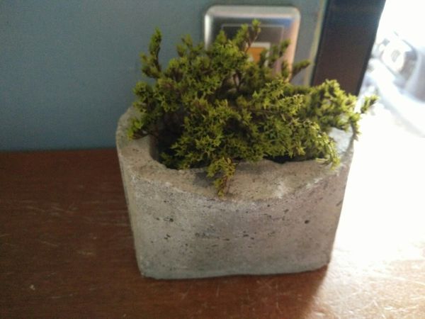 板橋仁化街的wifi充電餐飲小店 Percent Cafe%