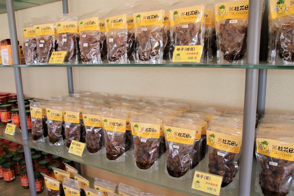 桂花田糕點主題休閒園區:【南投市景點】桂花田鳳梨主題休閒園區~胡桃鉗娃娃兵彩繪貨櫃屋/咖啡.簡餐.下午茶