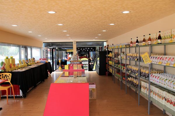 桂花田糕點主題休閒園區:【南投市景點】桂花田鳳梨主題休閒園區~胡桃鉗娃娃兵彩繪貨櫃屋/咖啡.簡餐.下午茶