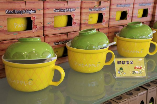 桂花田糕點主題休閒園區:【南投市景點】桂花田鳳梨主題休閒園區~胡桃鉗娃娃兵彩繪貨櫃屋/咖啡.簡餐.下午茶