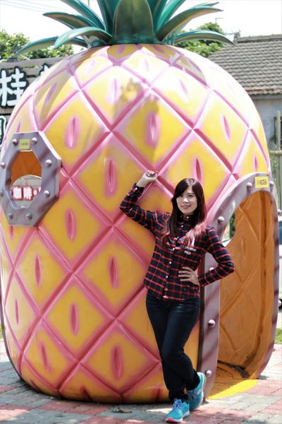 桂花田糕點主題休閒園區:【南投市景點】桂花田鳳梨主題休閒園區~胡桃鉗娃娃兵彩繪貨櫃屋/咖啡.簡餐.下午茶