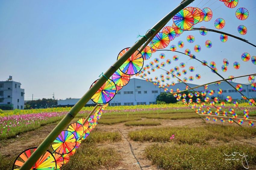 台中景點，2019大雅小麥文化節