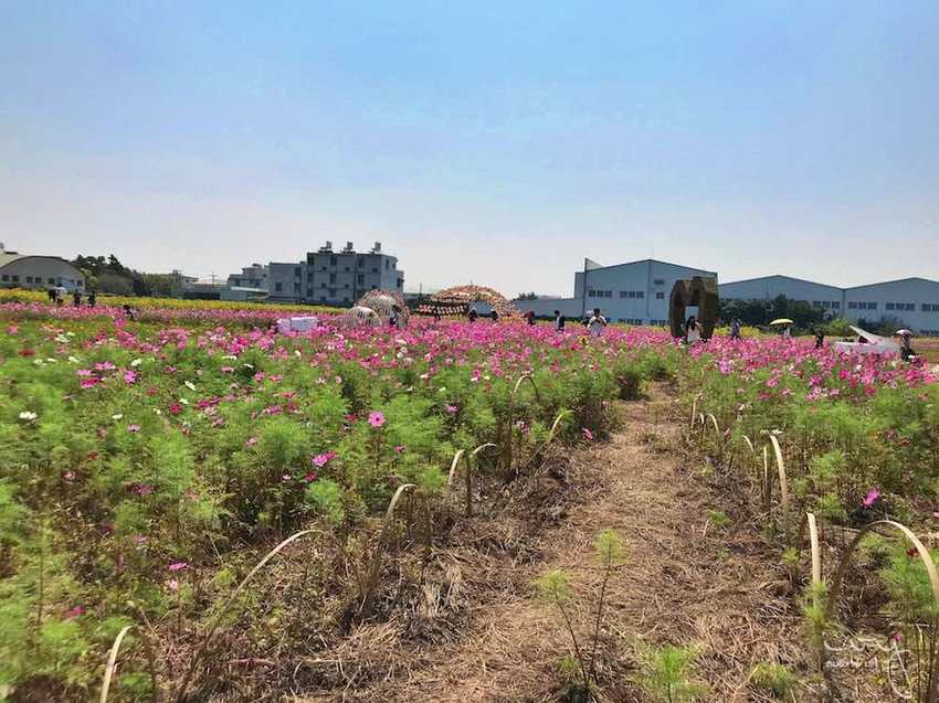 台中景點，2019大雅小麥文化節