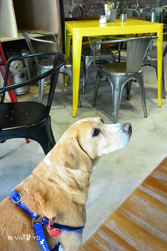 DSC_8375.JPG DSC_8375.JPG