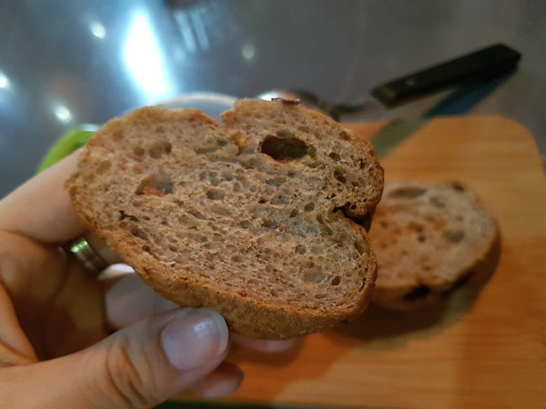 20170819_tame moose4.jpg 20170819_tame moose4.jpg