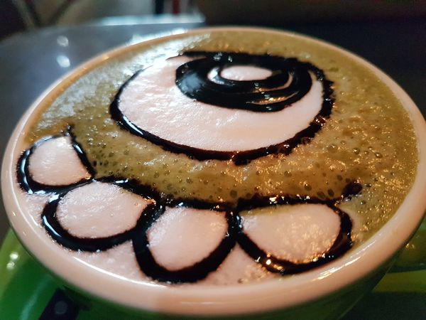 20170819_tame moose10.jpg 20170819_tame moose10.jpg